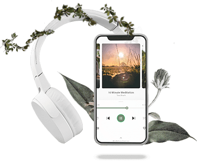 EXCLUSIVE: Get Sean’s 60 Done-For-You Audio Meditations